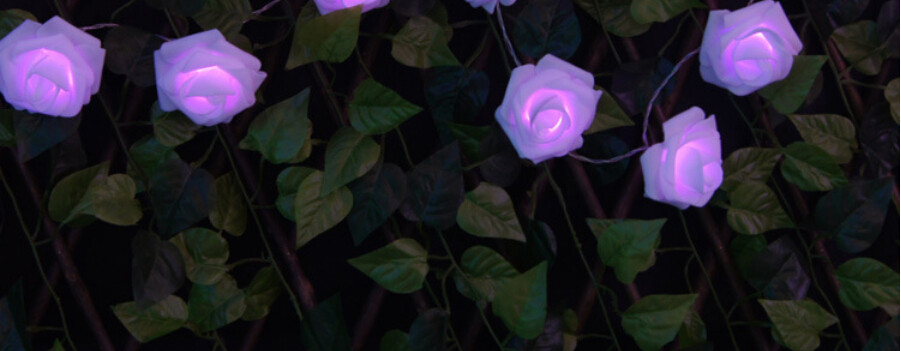 8 Color Night Light 20 x LED Novelty Rose Flower Fairy String Lights Wedding Garden Party Christmas Decoration Nighlight
