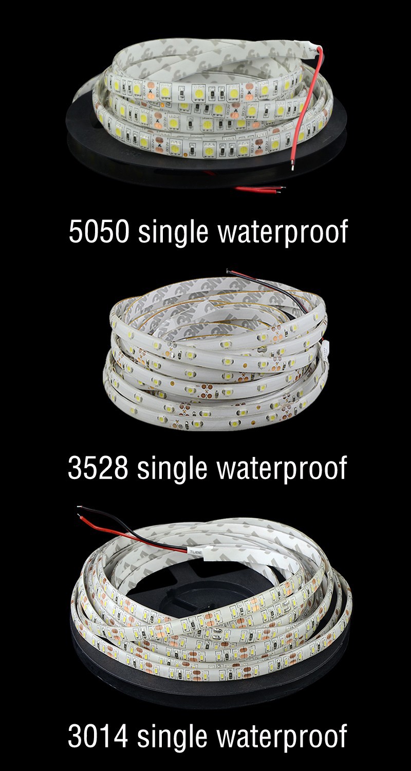 10M LED Strip 5050 30Leds m 3528 3014 60Leds m DC12V Waterproof SMD Strips Light +5A Transformer White Warm white Red Green LS31