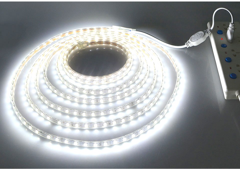 AC220V IP65 Waterproof SMD 5050 60leds m LED tape flexible led Strip light lamp Tape EU Power Plug For outdoor garden lighting