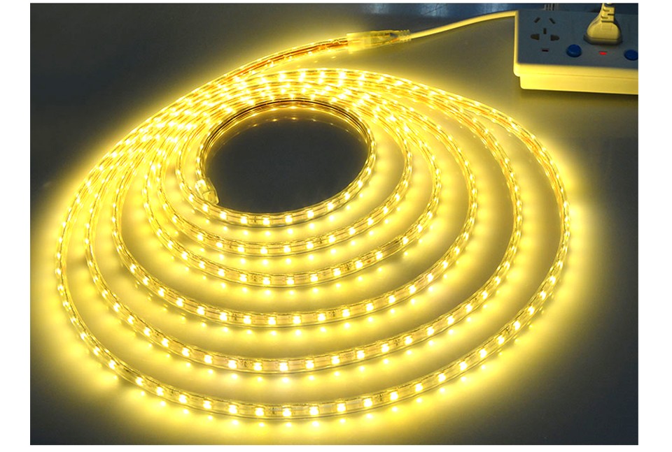 220V 60leds m SMD 5050 IP67 Waterproof led strip flexible light 1M 2M 3M 4M 5M 6M 7M 8M 9M 10M 11M 12M 15M 20M Power EU Plug