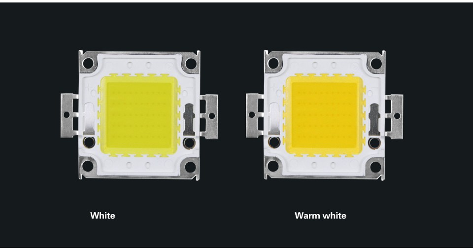 10W 20W 30W 50W 100W LED light DIY led lamp bulb Source LED COB integrated chips LED Flood light white warm white