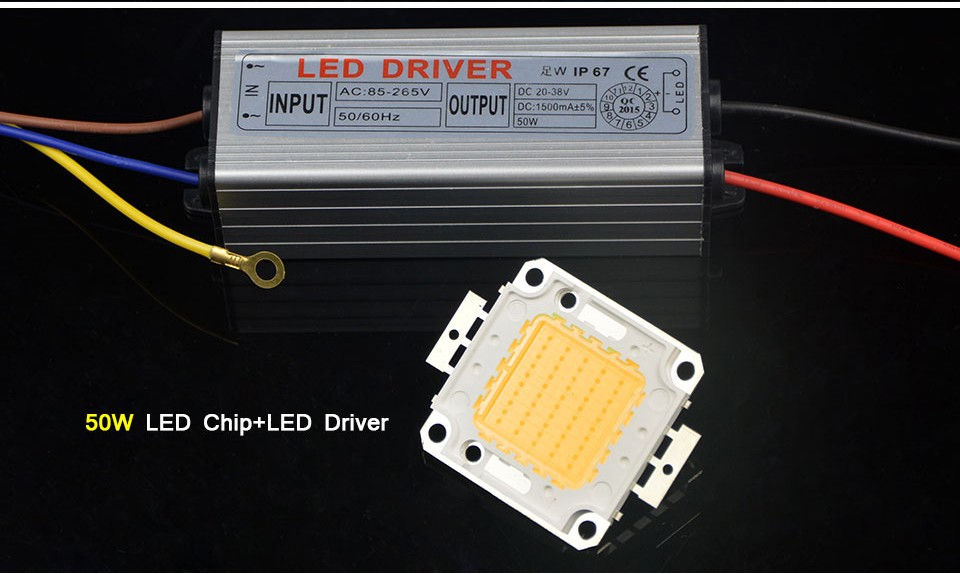 Full Power 10W 20W 30W 50W 100W LED Lamp Integrated COB LED Chips Bulb IP67 Led Driver LED flood light power supply