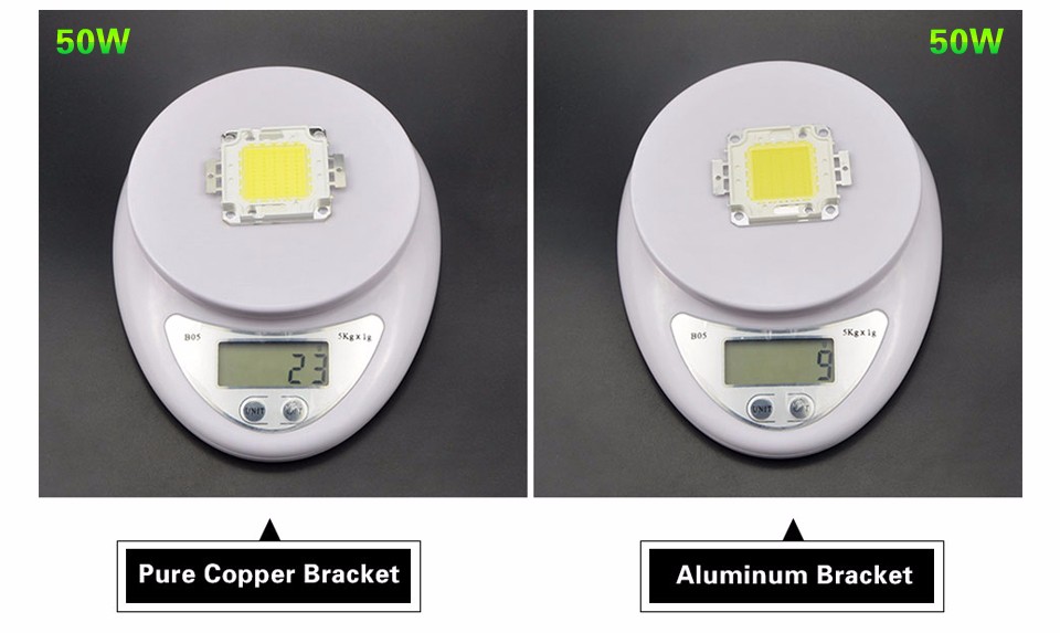 Warm White White 10W 20W 30W 50W 100W High Power Integrated LED Chips SMD Bulb For Floodlight lamp Spot light