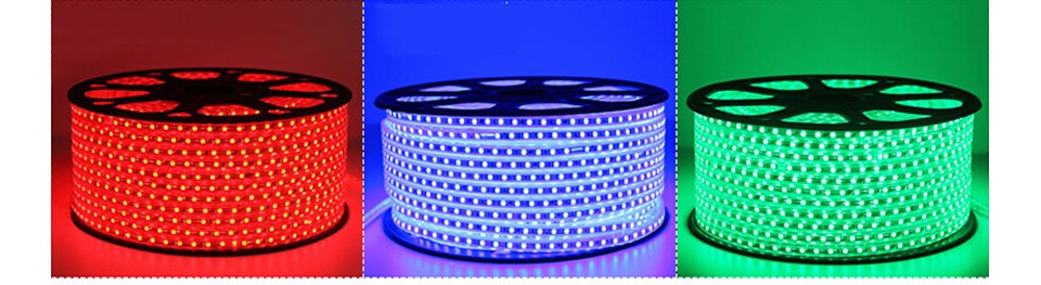 220V Waterproof SMD 5050 1m 25m led tape flexible led strip light with EU plug RGB with remote control outdoor lighting