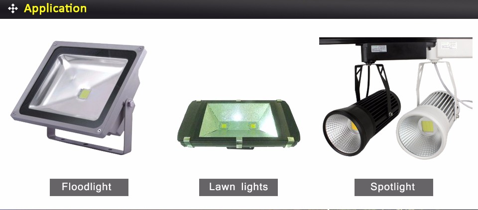10W 20W 30W 50W 100W LED COB floodlight Integrated Diodes chip lamp Beads Bulb for DIY Floodlight spotlight lawn garden lights