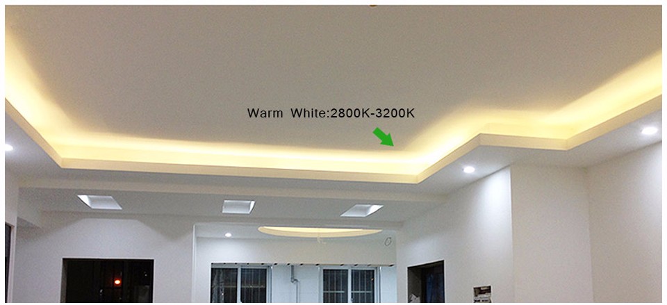 IP67 Waterproof 60led m 220V SMD 5050 Led Strip Light Underwater Light Tape EU Power plug for Swimming Pool Fish Tank Bathroom