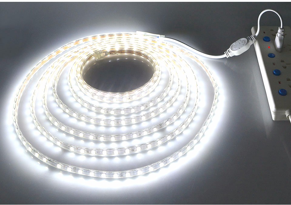 1M 2M 5M 10M 15M Input Voltage AC 220V Flexible 5050 SMD LED Strip light Silicone Tube Waterproof 60LEDs M With EU Power Plug