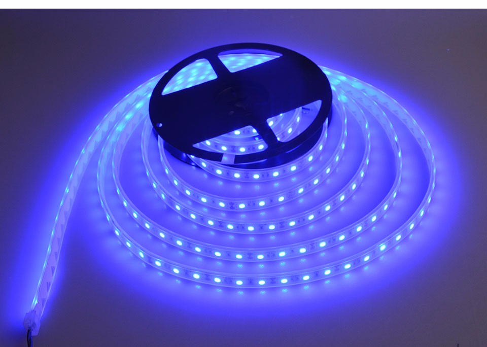 6 colors IP67 Tube Waterproof SMD 5050 5m 300LEDs DC12V LED strip lights waterproof casing LED Flexible lamp underwater lights