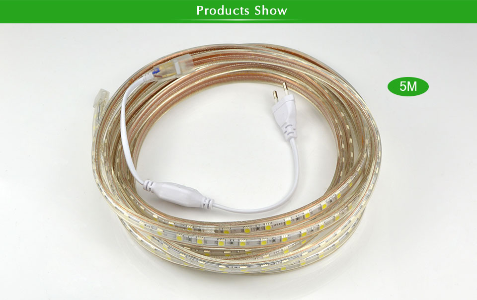 Upgrad copper wire 220V SMD 5050 LED Strip Light 1m 18M IP65 Waterproof led tape outdoor lighting Decor lamp EU plug Adapter