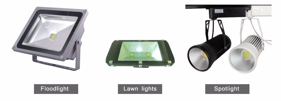 Really Watt 10W 20W 30W 50W 100W Integrated COB LED Beads Chip light lamp Power Driver lighting transformer For Floodlight Bulb