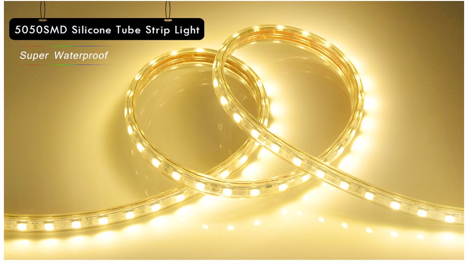 1M 2M 5M 10M 15M Input Voltage AC 220V Flexible 5050 SMD LED Strip light Silicone Tube Waterproof 60LEDs M With EU Power Plug