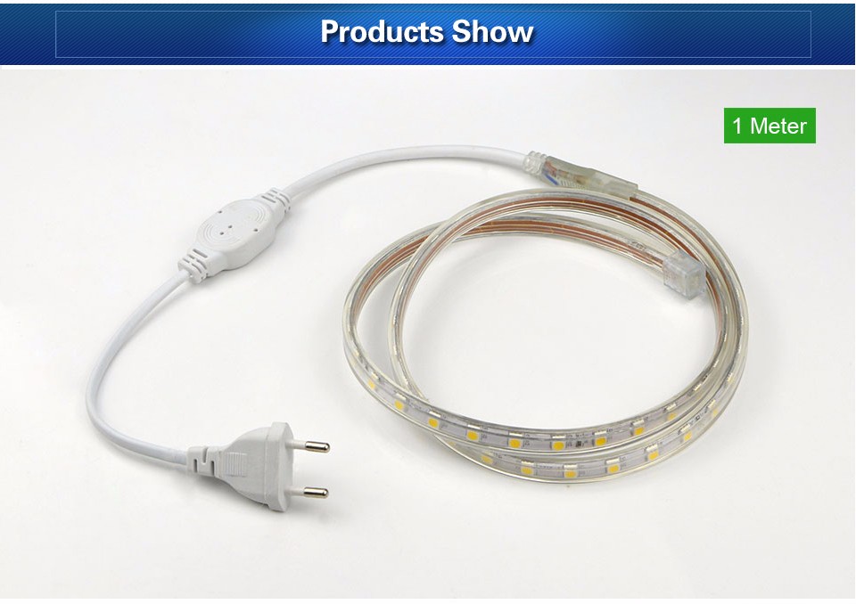 1M 2M 5M 10M 15M Input Voltage AC 220V Flexible 5050 SMD LED Strip light Silicone Tube Waterproof 60LEDs M With EU Power Plug