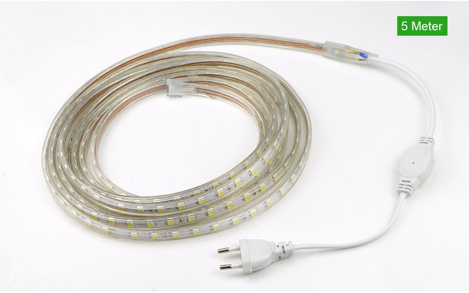 1M 2M 5M 10M 15M Input Voltage AC 220V Flexible 5050 SMD LED Strip light Silicone Tube Waterproof 60LEDs M With EU Power Plug