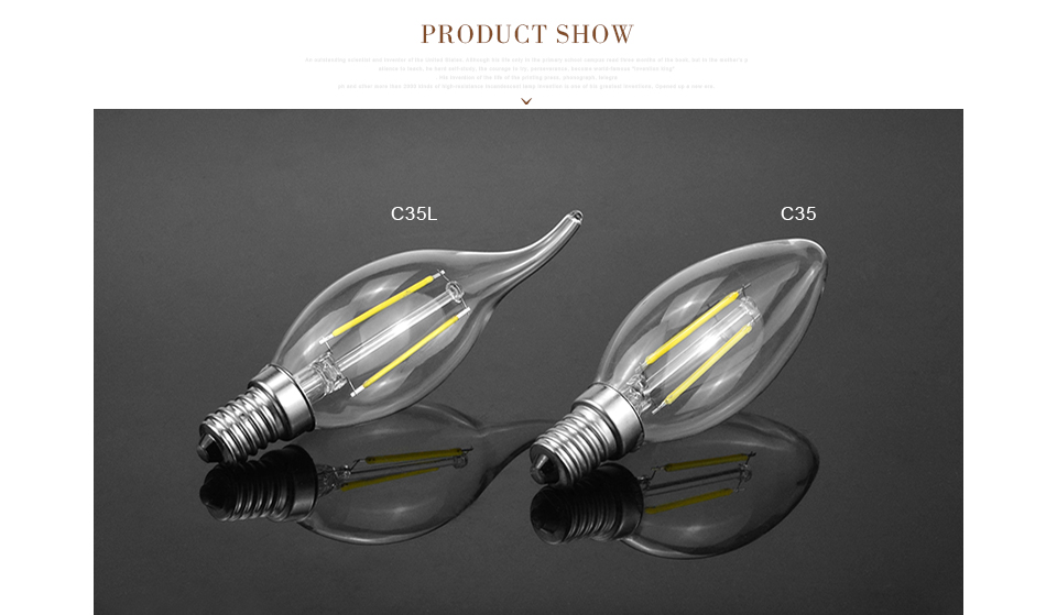 LED light E14 220V 110V Filament LED lamp 2W 4W 6W Edison Glass LED bulb Vintage Edison Candle light