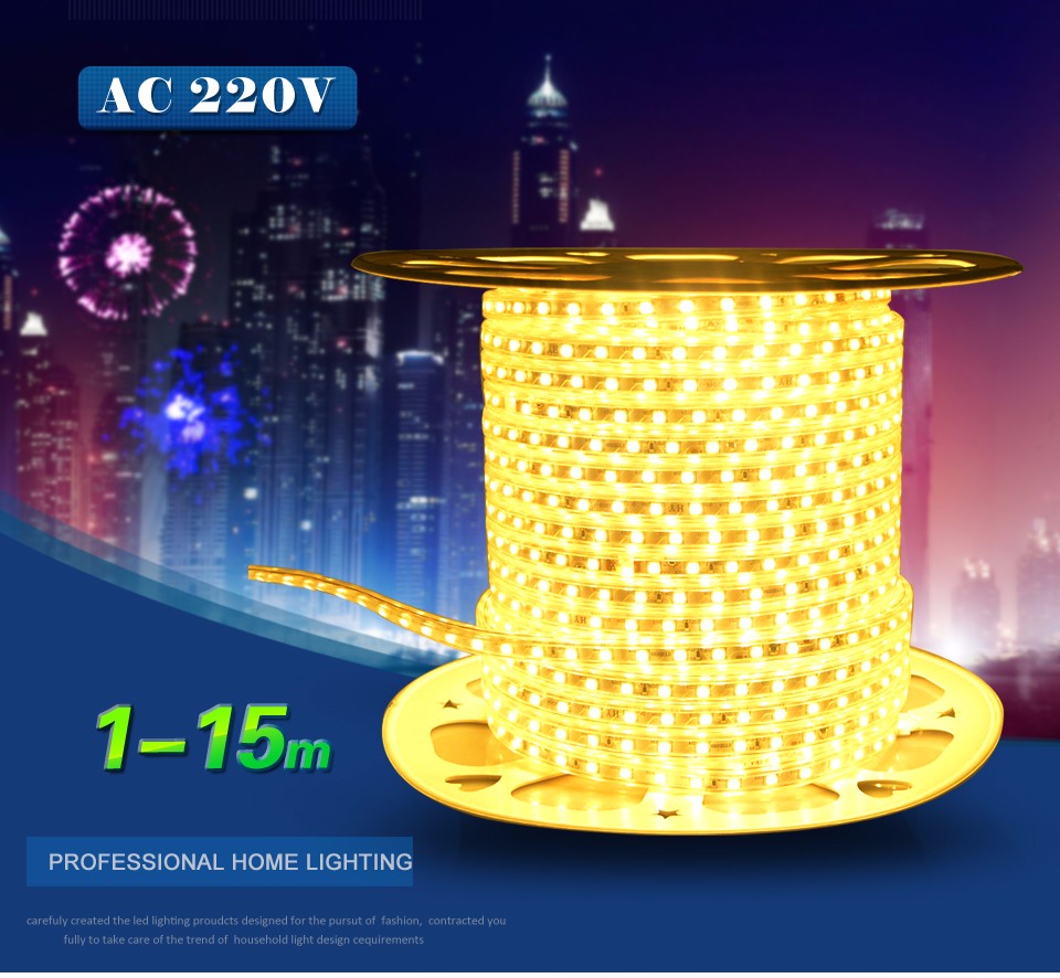 IP67 Waterproof 60led m 220V SMD 5050 Led Strip Light Underwater Light Tape EU Power plug for Swimming Pool Fish Tank Bathroom