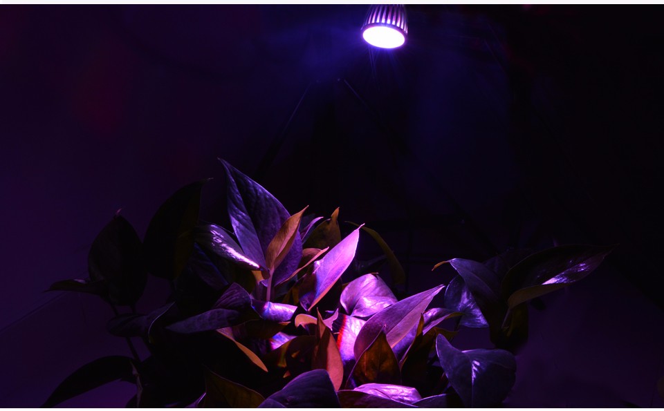 Led Plant Grow Lamps E27 85 265V 110V 220V LED Bulb Full Spectrum light spotlight for Hydroponics Flower Plants Grow lamp