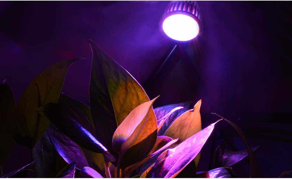 4pcs lot AC 85 265V 110V 220V Full Spectrum LED Plant Grow lights E27 Growing lamp Bulb for Flower Hydroponics System Grow B