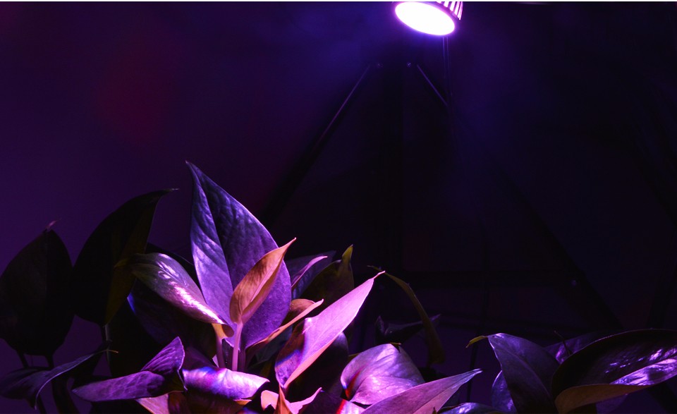 4pcs lot AC 85 265V 110V 220V Full Spectrum LED Plant Grow lights E27 Growing lamp Bulb for Flower Hydroponics System Grow B