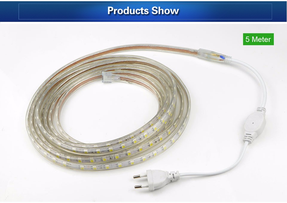 220V 5m 60leds m LED Strip Ligh With Waterproof EU Plug SMD 5050 Flexible Light White Warm white Blue Red Green