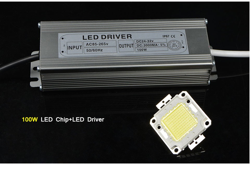 Full Power 10W 20W 30W 50W 100W LED Lamp Integrated COB LED Chips Bulb IP67 Led Driver LED flood light power supply