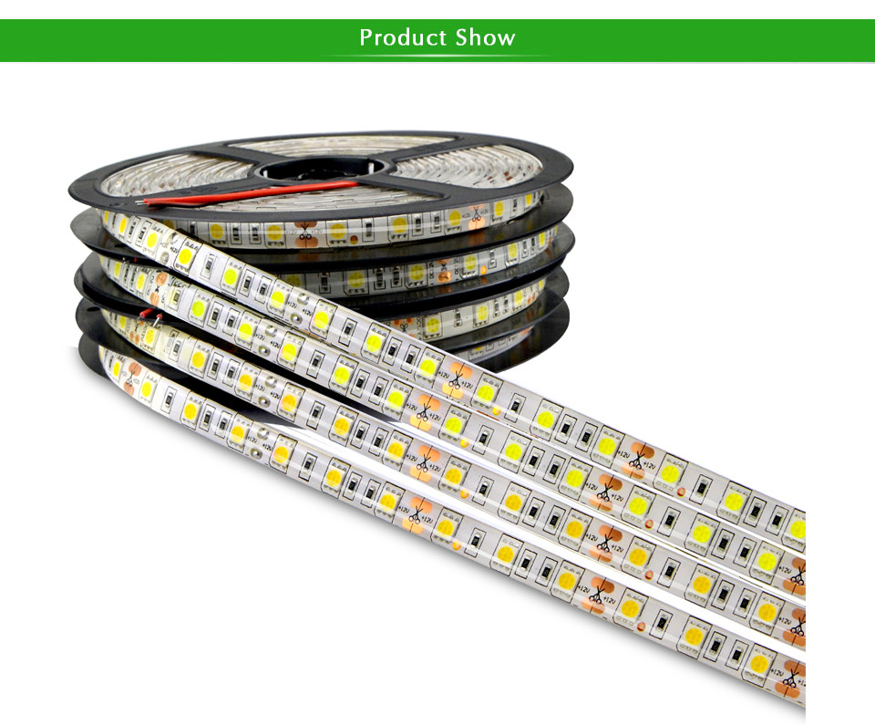 IP65 Waterproof White Warm white Red Green Blue RGB DC12V 5M 5050 SMD LED Strip light Flexible Lampada Tape Ribbon Lamp