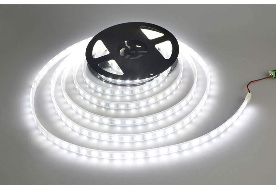 DC 12V 5m LED light RGB Ribbon led strip light 5050 SMD IP20 IP65 IP67 Waterproof LED Holiday Garden Decoration lamp lighting