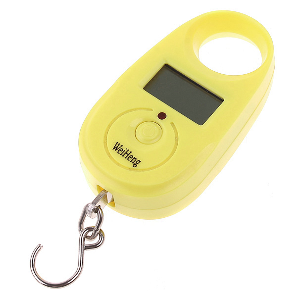 25kgx5g Mini Digital Scale Portable Hanging Luggage Scale Accurate Fishing Weighing Scale Pocket Weighing Balance LCD Display