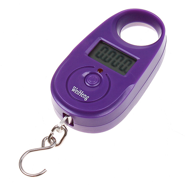 25kgx5g Mini Digital Scale Portable Hanging Luggage Scale Accurate Fishing Weighing Scale Pocket Weighing Balance LCD Display