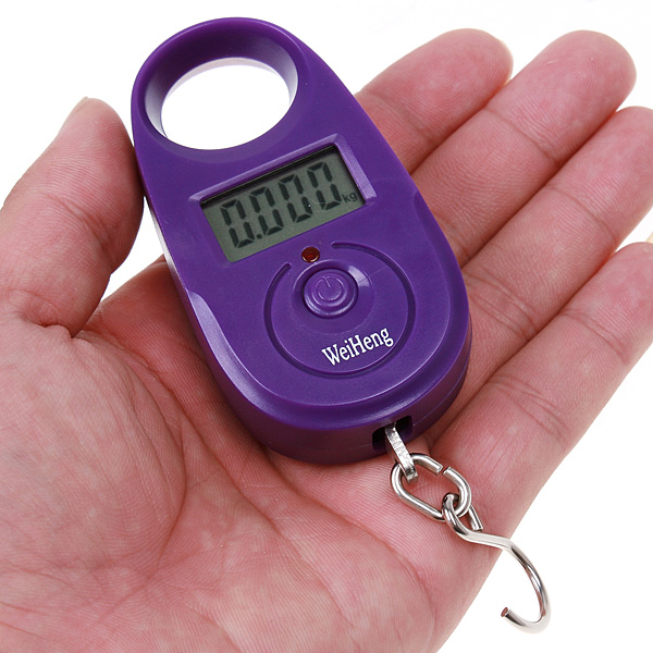 25kgx5g Mini Digital Scale Portable Hanging Luggage Scale Accurate Fishing Weighing Scale Pocket Weighing Balance LCD Display