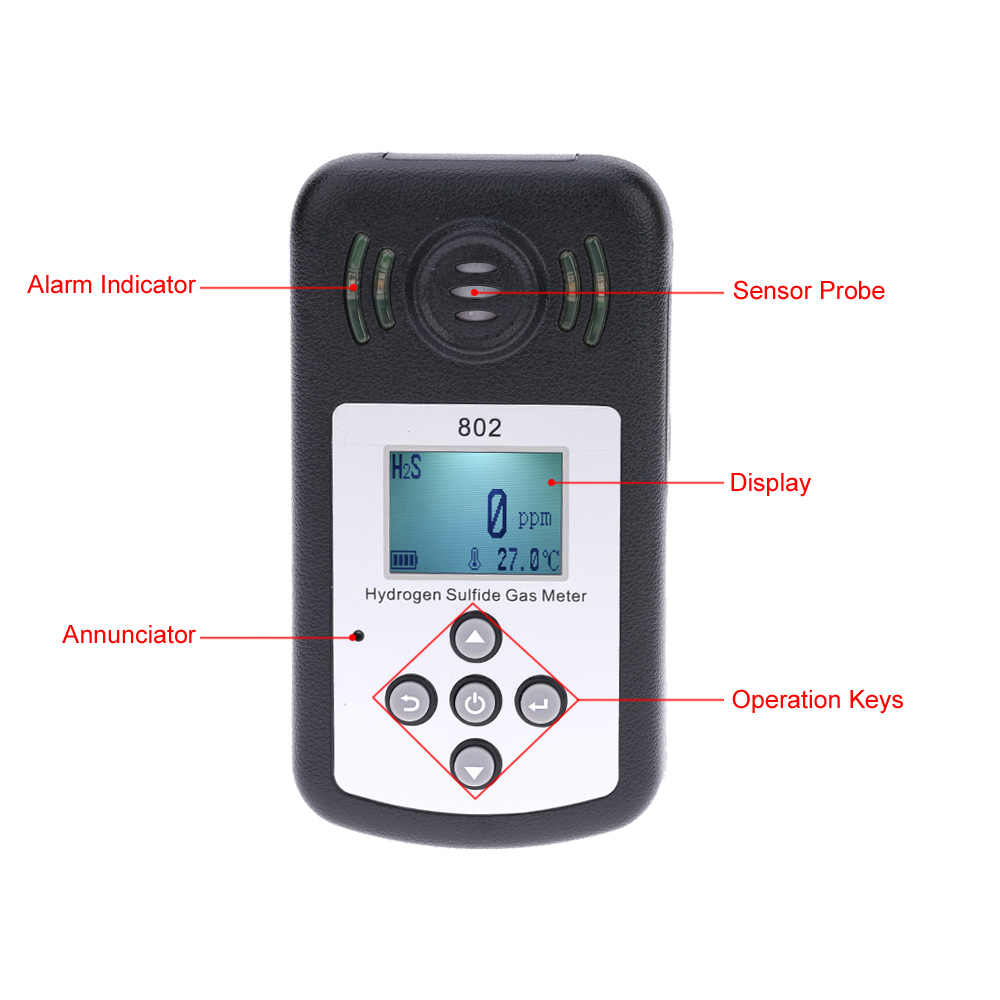 Professional Hydrogen Sulfide Gas H2S Meter Detector Gas analyzer Temperature Measurement LCD Display Alarm Value Settable